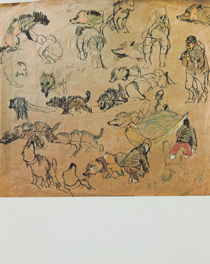 Gabrielle Roy and Rene Richard, La Montagne Secrète , lithographs - view 22