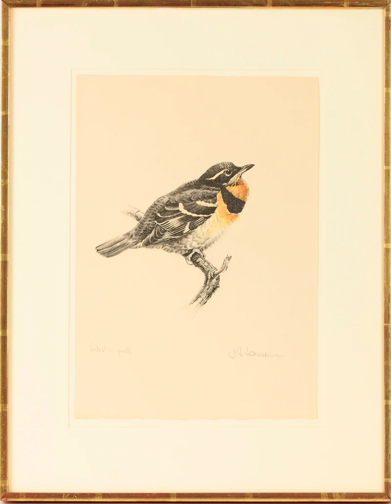 James Fenwick Lansdowne, Thrush, colour lithograph - view 2