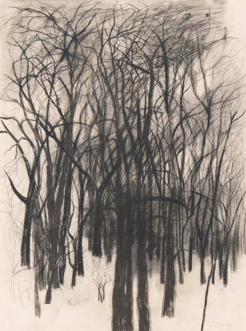 Molly Lamb Bobak, Forest Landscape, charcoal - view 2