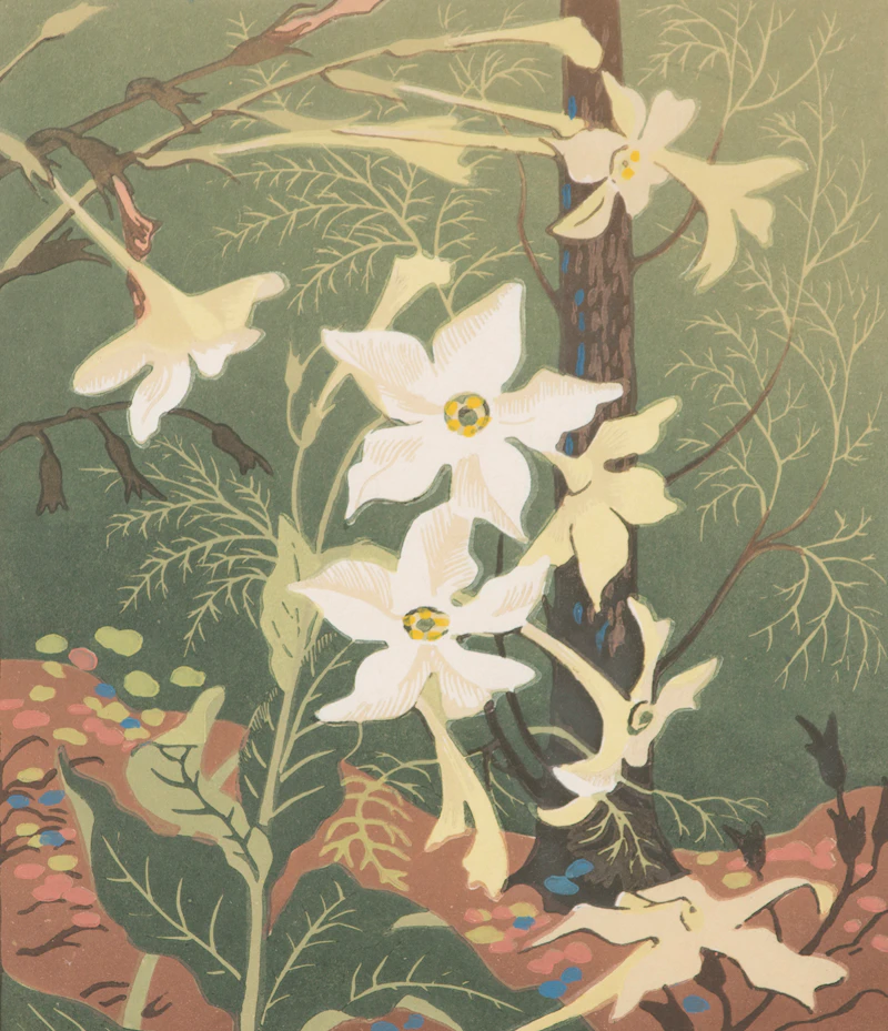Verna Viola Depew, Nicotiana