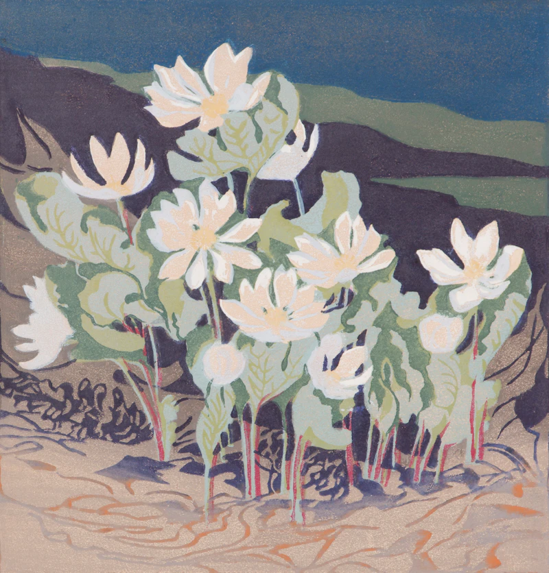 Mary Evelyn Wrinch, Northern Bloodroot, colour woodcut - view 2
