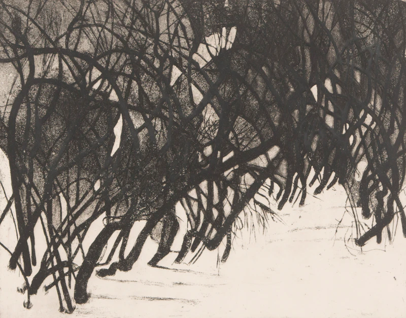 Ghitta Caiserman-Roth, Snowscape