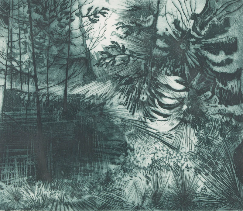 David Lloyd Blackwood, Spring, colour etching and aquatint, 1966 - view 2