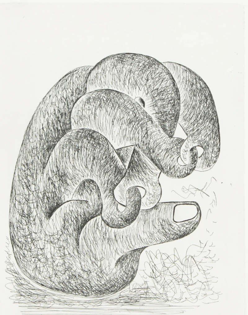 The Hand Suite by Sorel Etrog