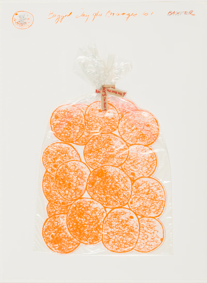 Bagged Day-Glo Oranges (Simon Fraser Centennial Suite) by Iain Baxter&