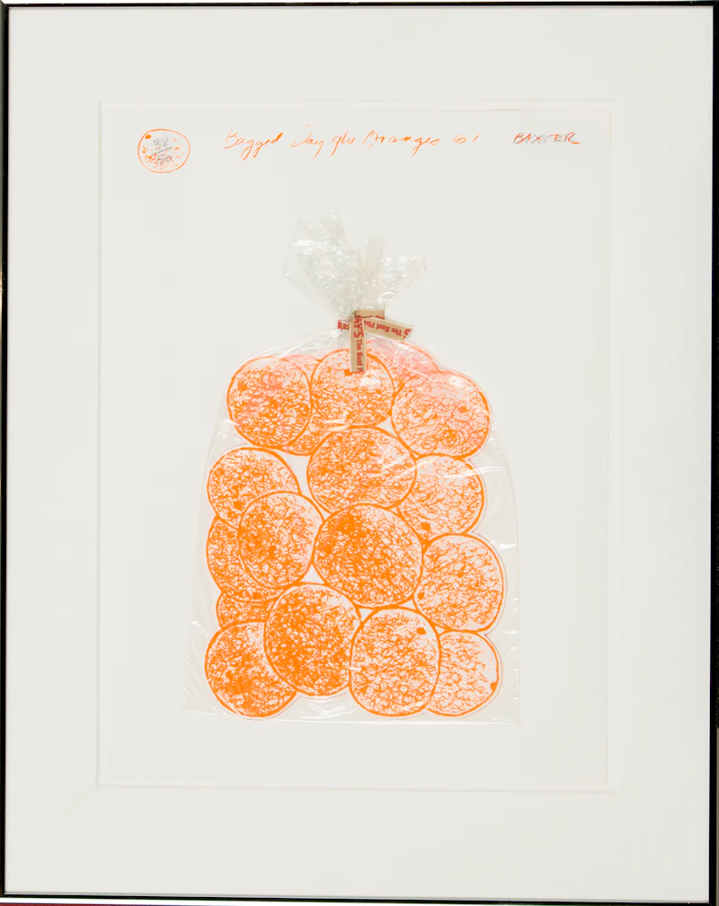 Iain Baxter&, Bagged Day-Glo Oranges (Simon Fraser Centennial Suite), mixed media, 1967 - view 2