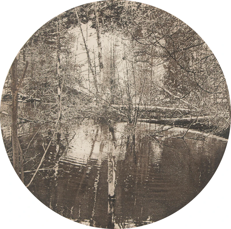 Cavan Bog by George Raab