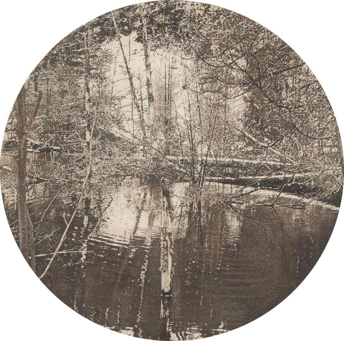 George Raab, Cavan Bog, etching, 1982