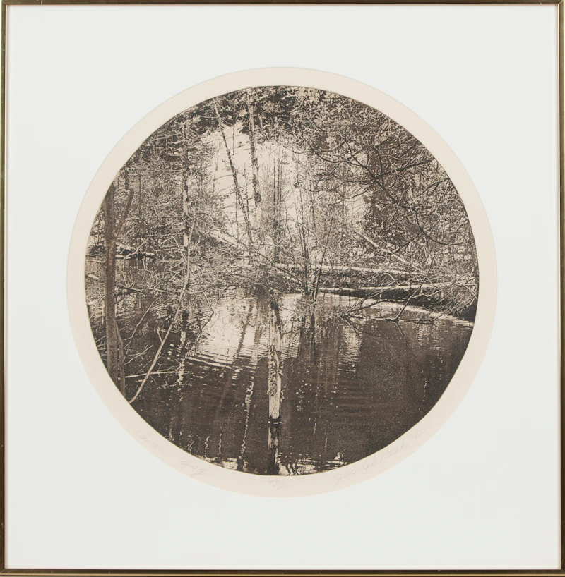 George Raab, Cavan Bog, etching, 1982 - view 2