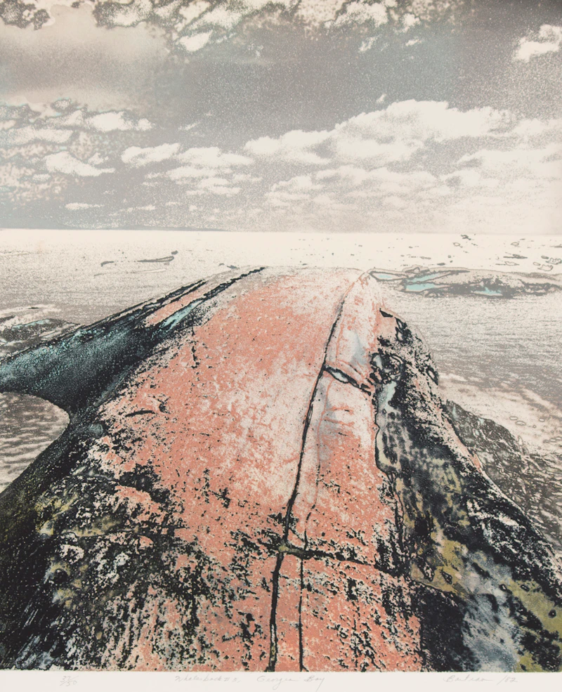 Whalesback #3 by Edward John Bartram