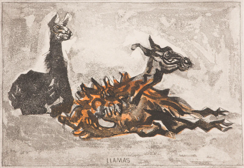 Llamas by Alistair Macready Bell