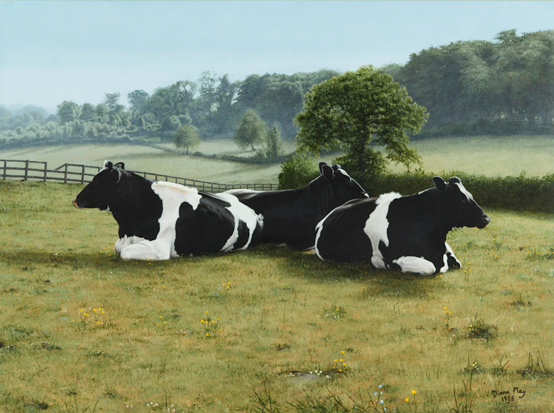 Cattle at Rest by Diana May Nobbs