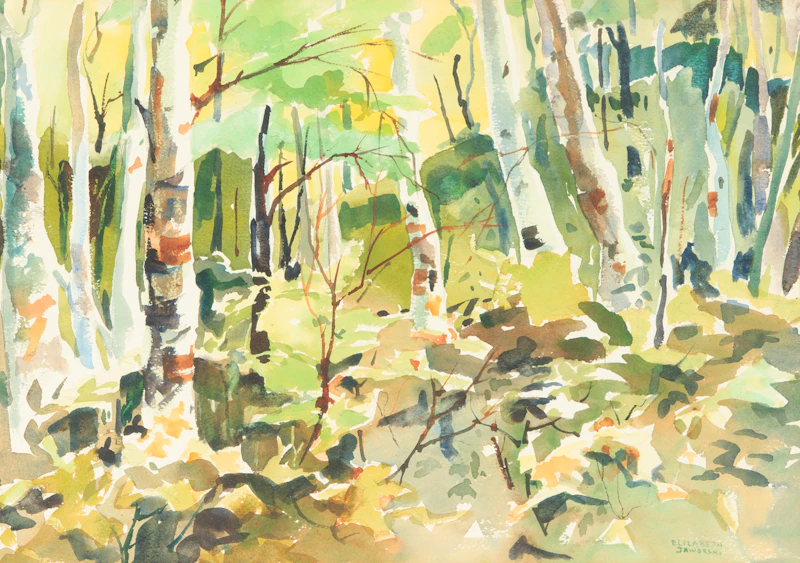 Birch Forest by Elizabeth Jaworski