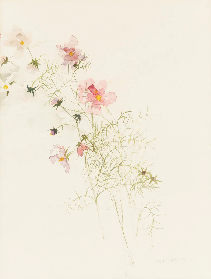 Molly Lamb Bobak, Poppies, watercolour - view 2