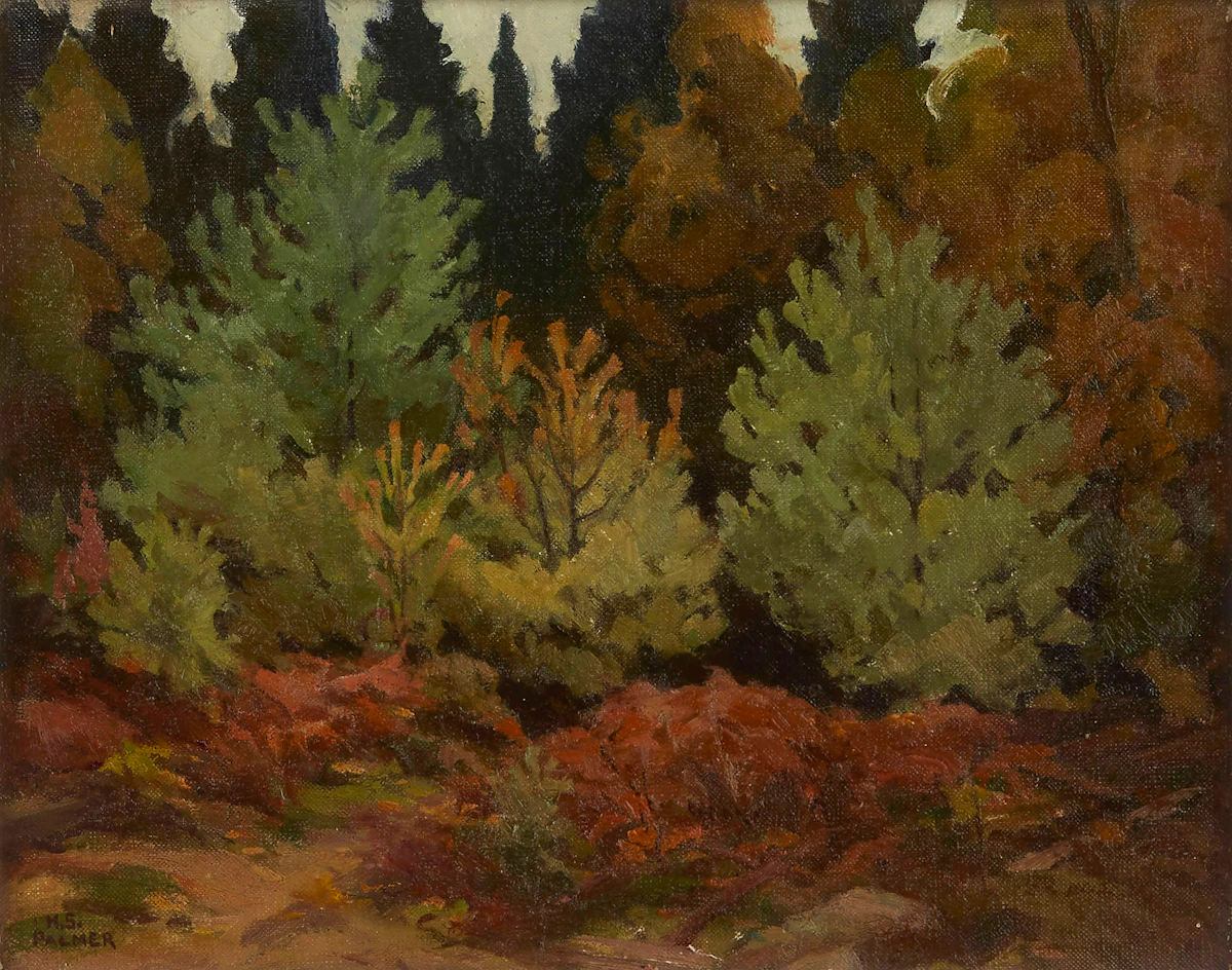 Herbert Sidney Palmer, Sketch for Young Conifers, oil on canvas