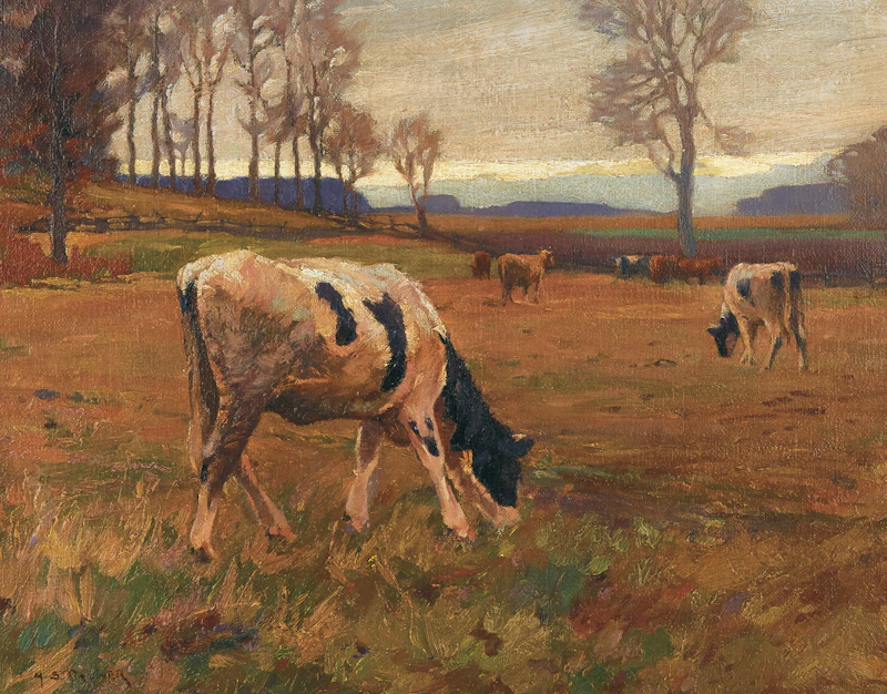 Herbert Sidney Palmer, Cattle Grazing
