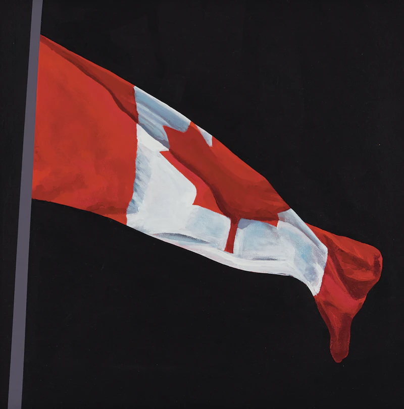 Charles Pachter, Painted Flag, acrylic on canvas, 2000 - view 1