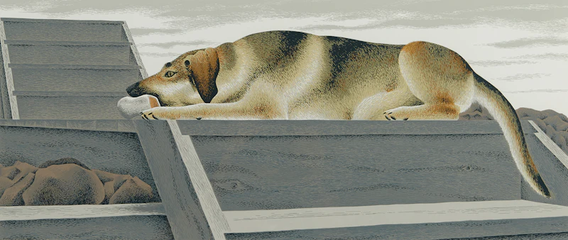David Alexander Colville, Chien D’Or