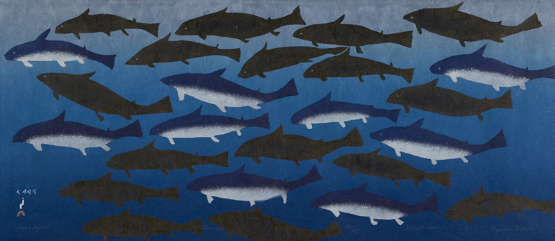 Papiara Tukiki, Blue Sharks