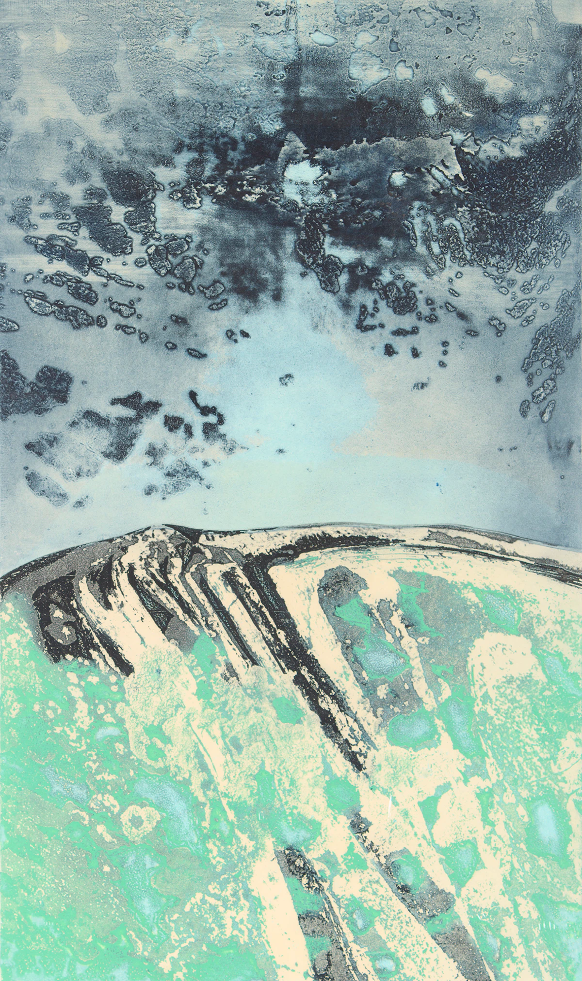 Edward John Bartram, Island Cosmos, Northern Image Series, colour etching
