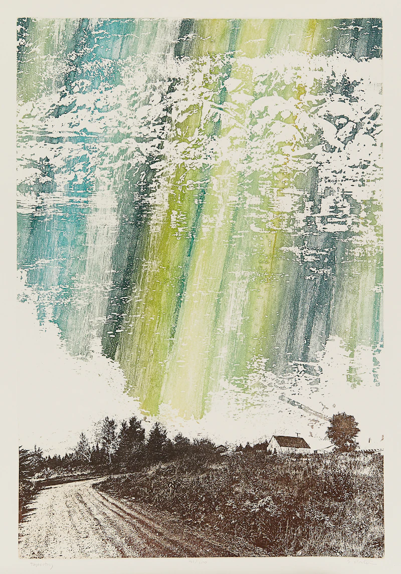 Walter Bachinski, Ken Danby, John Esler, Alex Janvier, Rita Letendre, Bernard Mulaire, Pitseolak, Don Phillips, Ed Porter and Noboru Sawai, Twentieth Anniversary - 1959/1979 Gallery Moos Limited, collection of ten prints, 1979 - view 9
