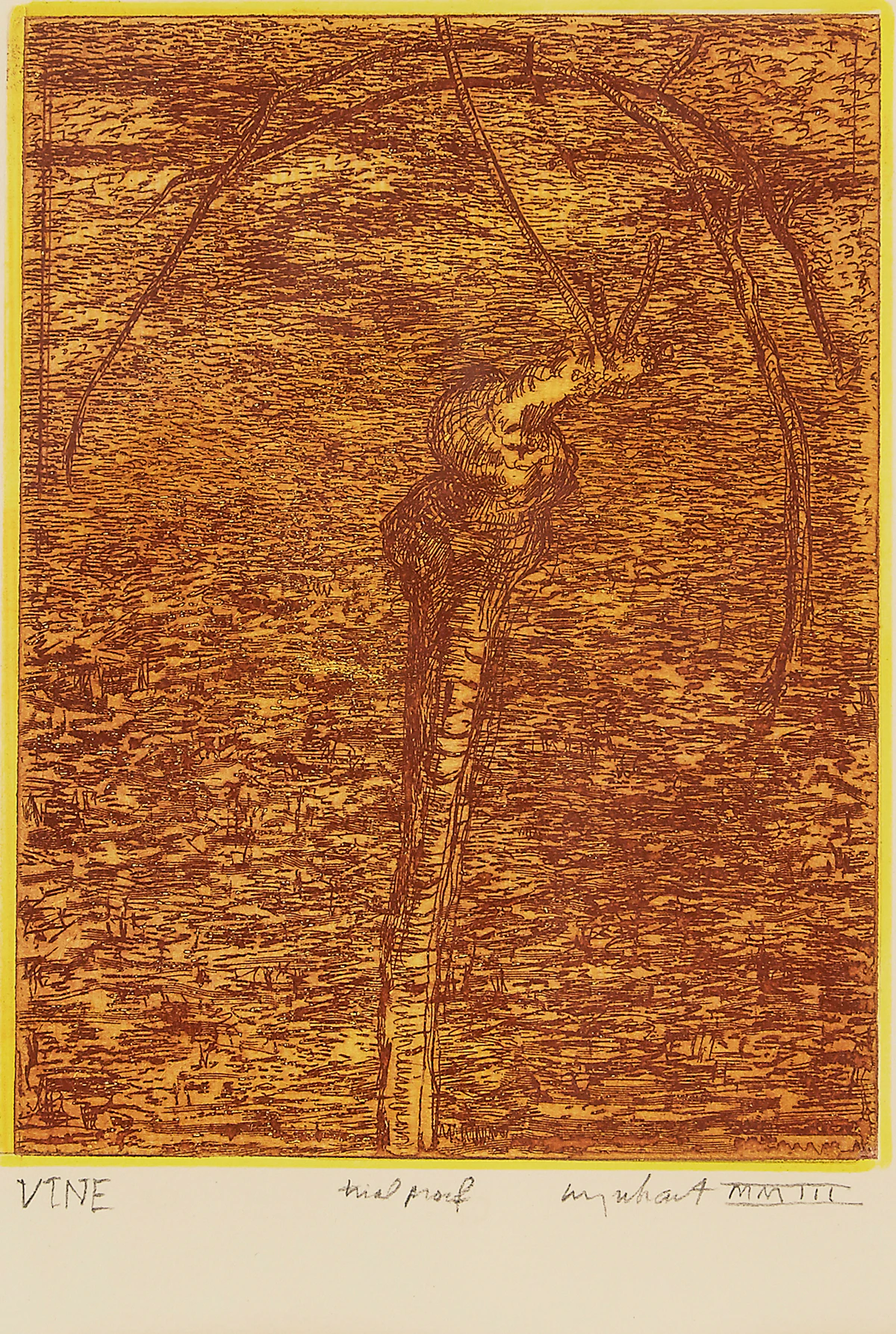 Tony Urquhart, Vine, colour etching