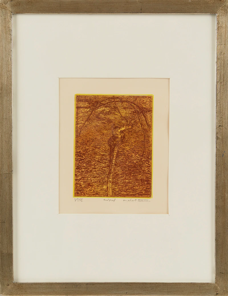 Tony Urquhart, Vine, colour etching - view 2