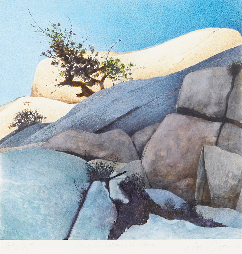 Ronald William Bolt, Rock Study #1 (Joshua Tree National Park - Mohave)