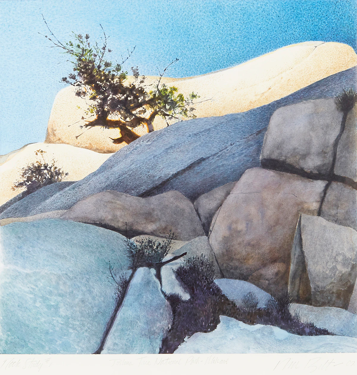 Ronald William Bolt, Rock Study #1 (Joshua Tree National Park - Mohave), watercolour, 2002