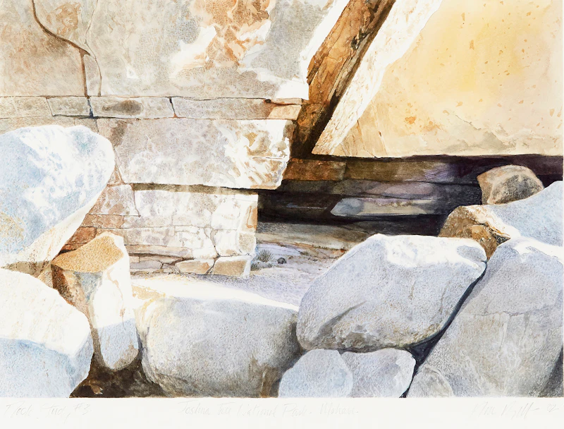Ronald William Bolt, Rock Study #3 (Joshua Tree National Park - Mohave)