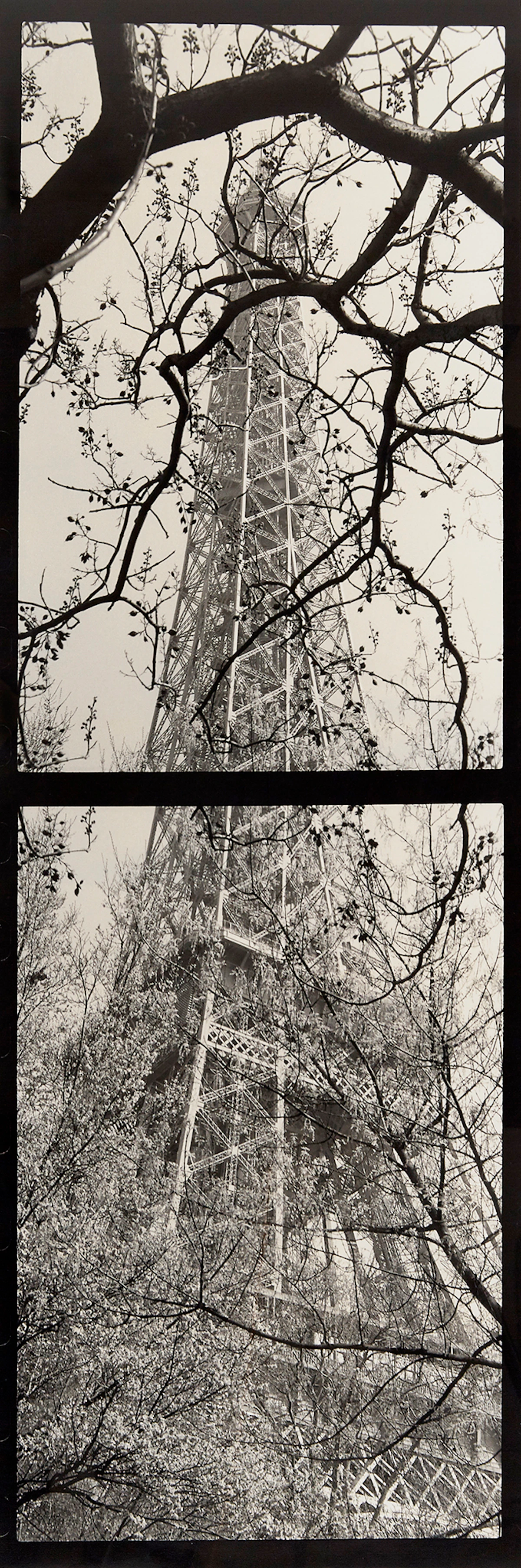 Jane Hinton, French Icon (1999), silver print, 1999