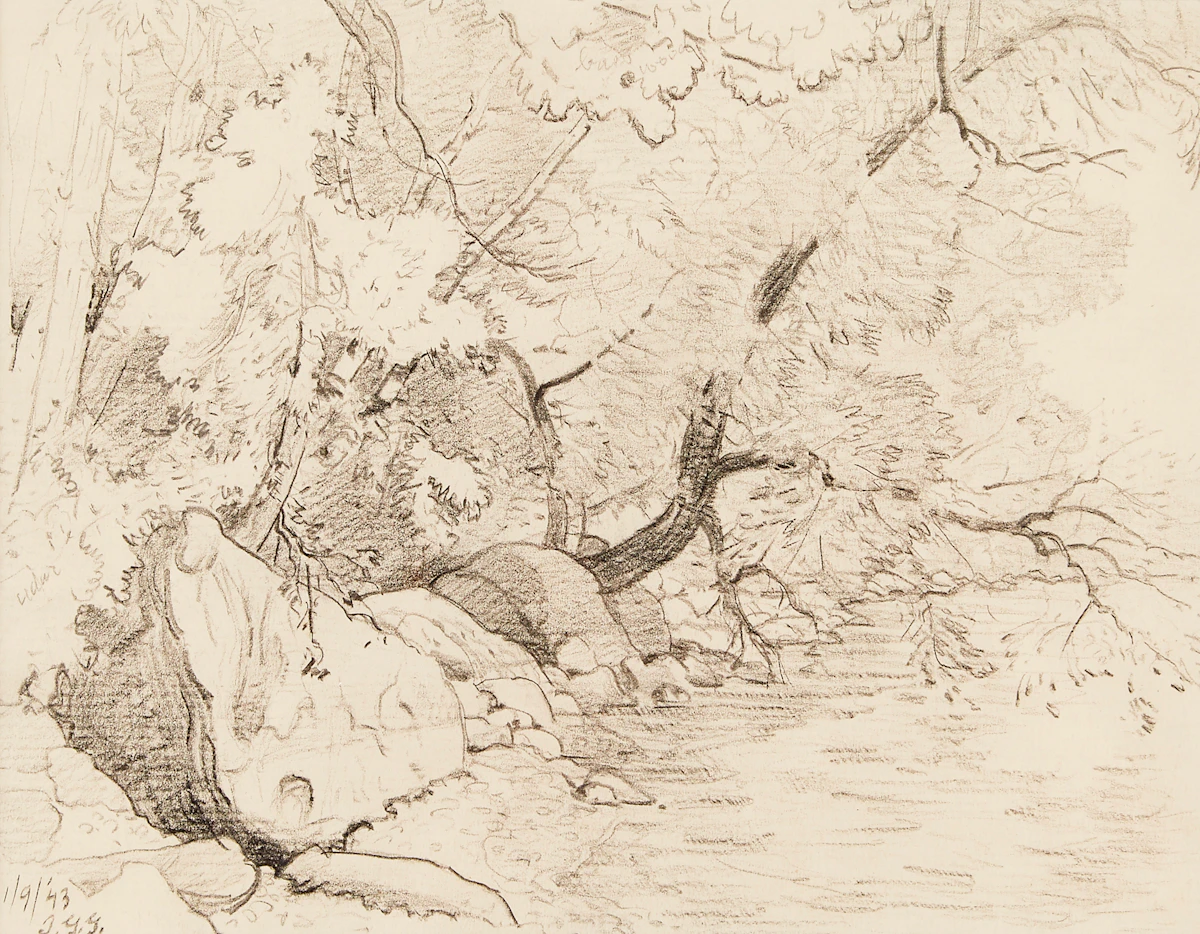 Thomas Garland Greene, Cedar of Willows, Lake Shore, graphite drawing, 1943