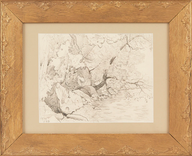 Thomas Garland Greene, Cedar of Willows, Lake Shore, graphite drawing, 1943 - view 2
