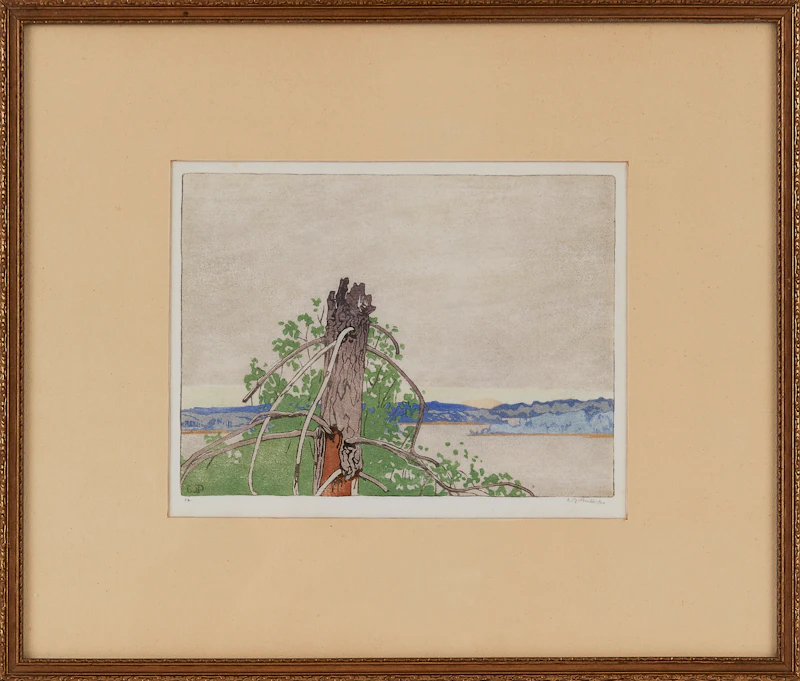 Walter Joseph Phillips, The Stump, woodblock in colours - view 2