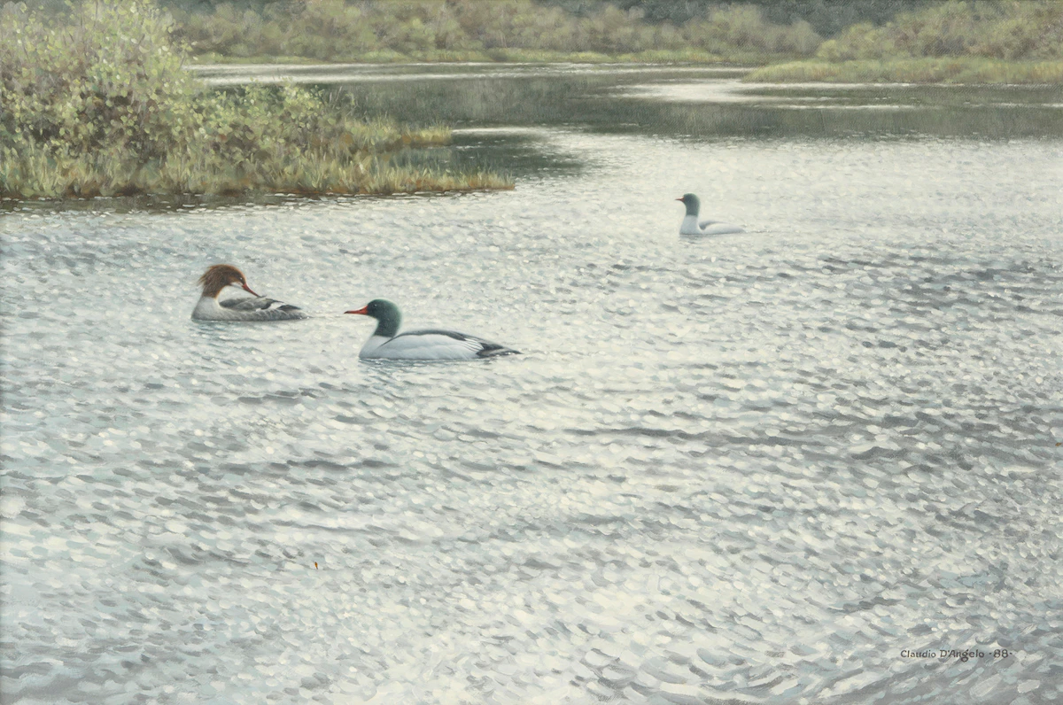 Claudio D’Angelo, Merganser Trio, acrylic on canvas, 1988