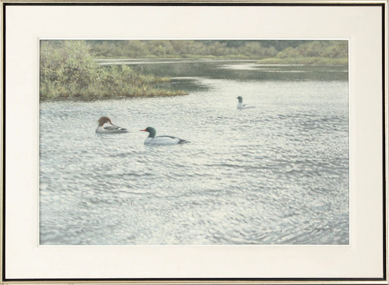 Claudio D’Angelo, Merganser Trio, acrylic on canvas, 1988 - view 2