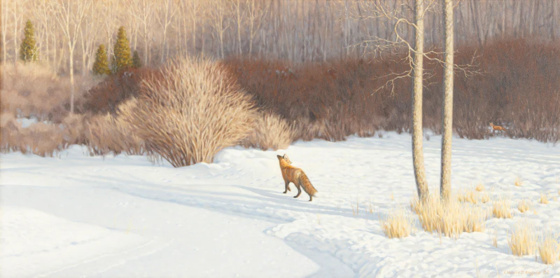 Claudio D’Angelo, Chance Encounter