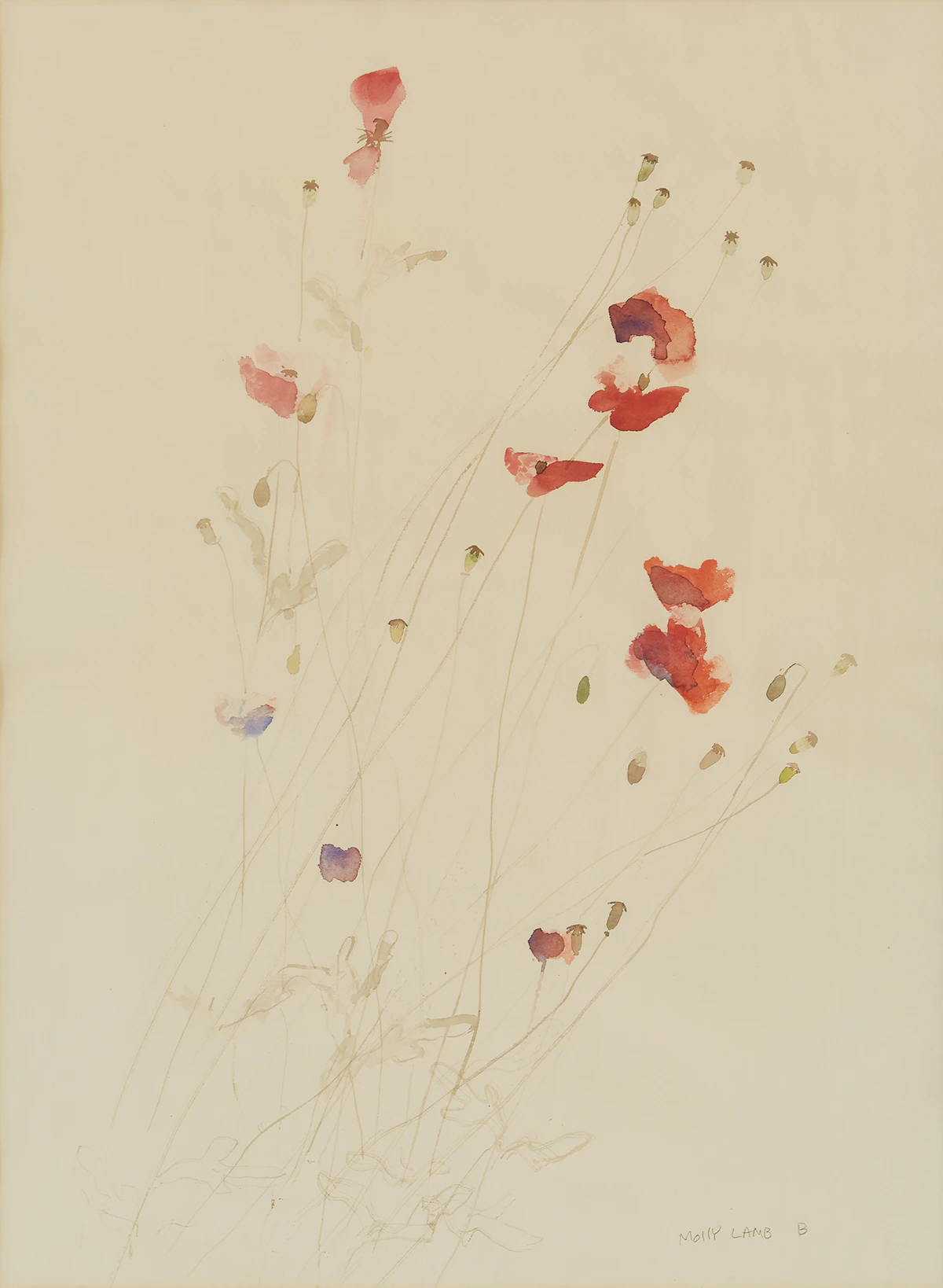 Molly Lamb Bobak, Poppies, watercolour