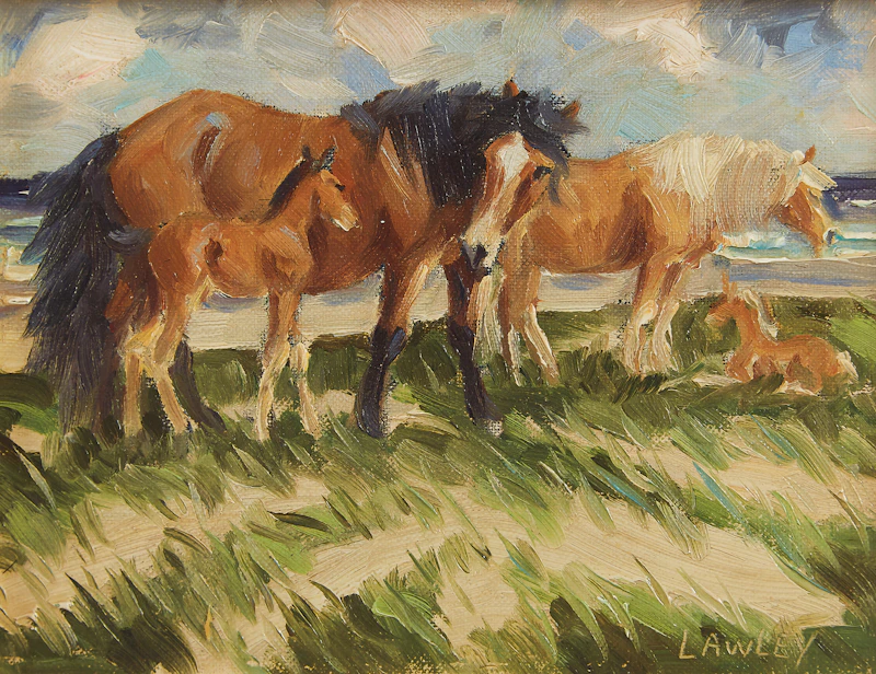 John Douglas Lawley, Ponies of Sable Island