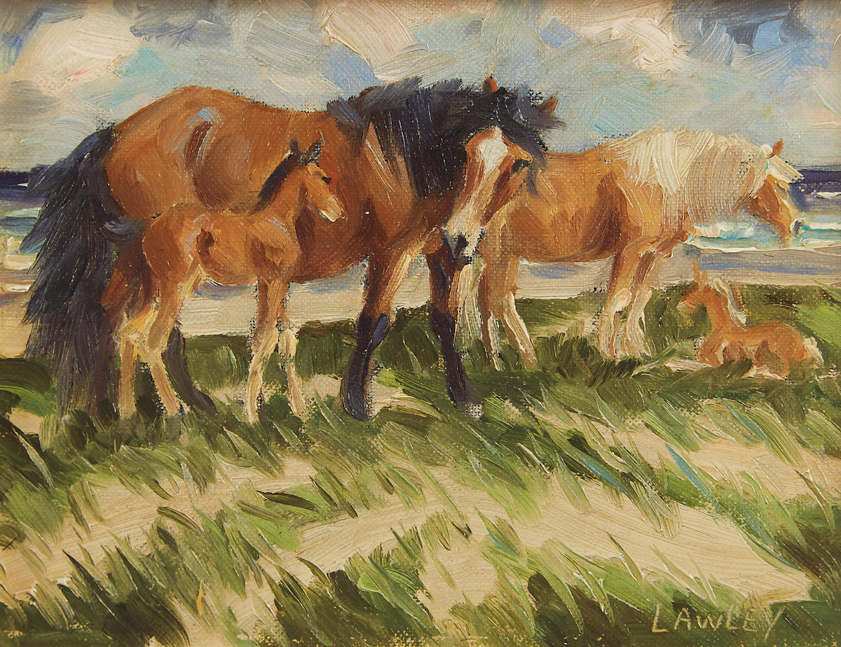 John Douglas Lawley, Ponies of Sable Island, oil on canvas board