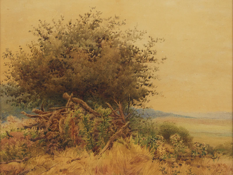 Charles Macdonald Manly, Summer Landscape