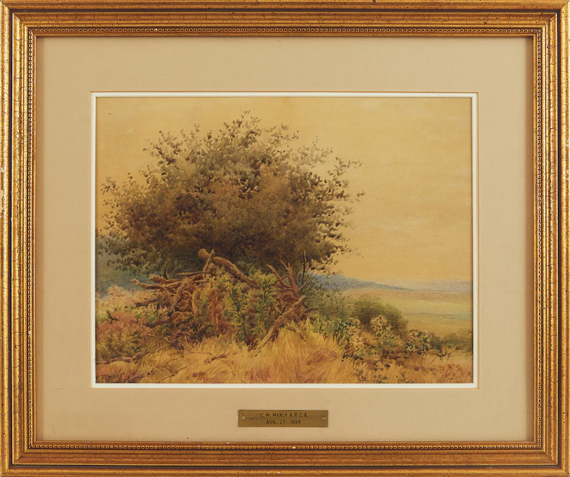 Charles Macdonald Manly, Summer Landscape, watercolour - view 2
