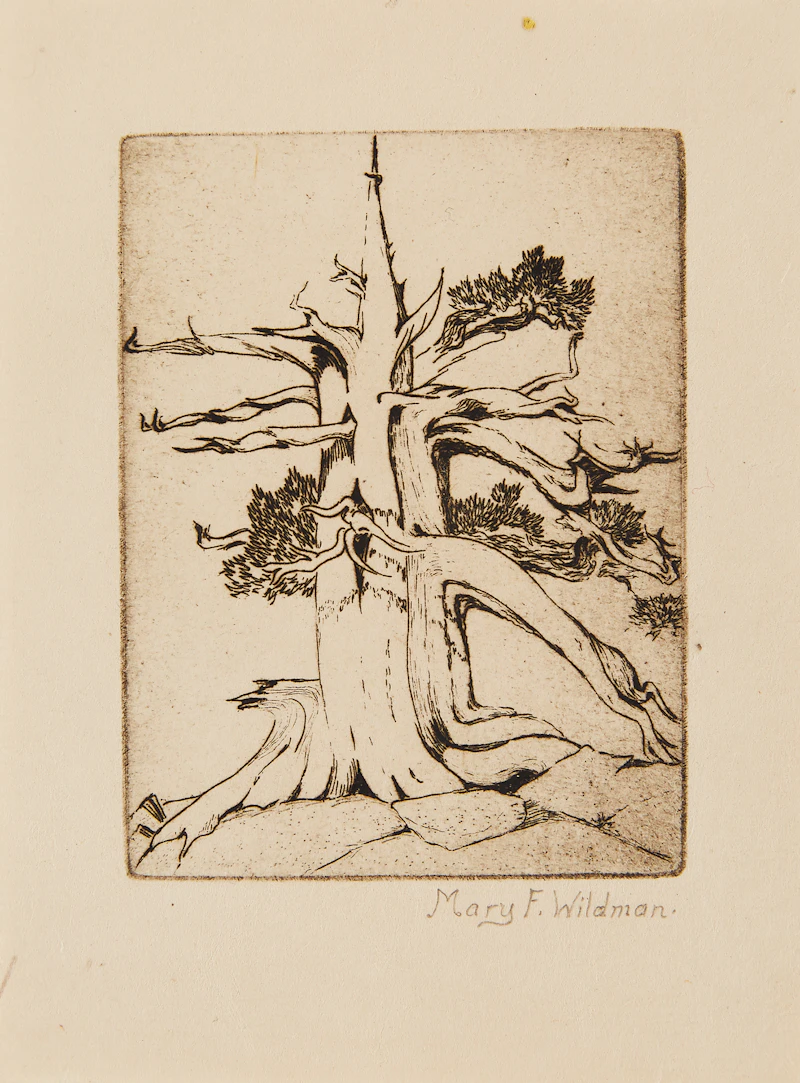 Books and Reference, A Selection of Etchings, Christmas Cards and Reproductions, selection of thirteen items - view 3