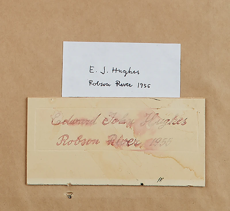 Edward John Hughes, Robson River, graphite, 1955 - view 3