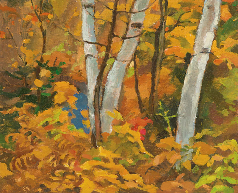 Autumn Tangle, Morin Heights by Edwin Headley Holgate