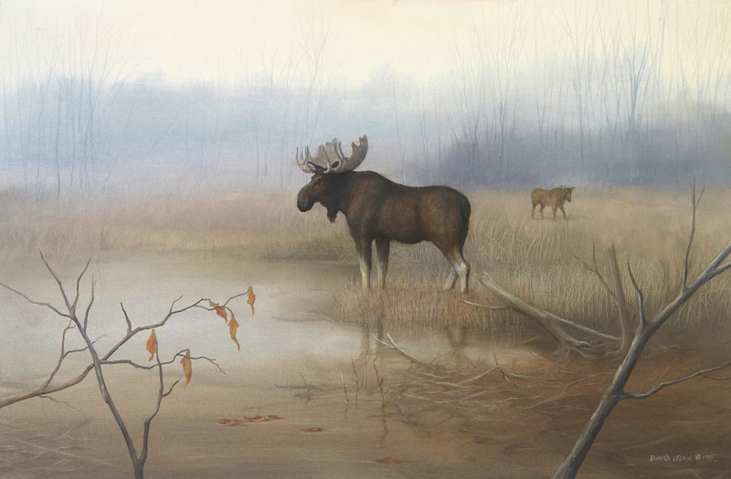 David Jean, Misty Morning by the River