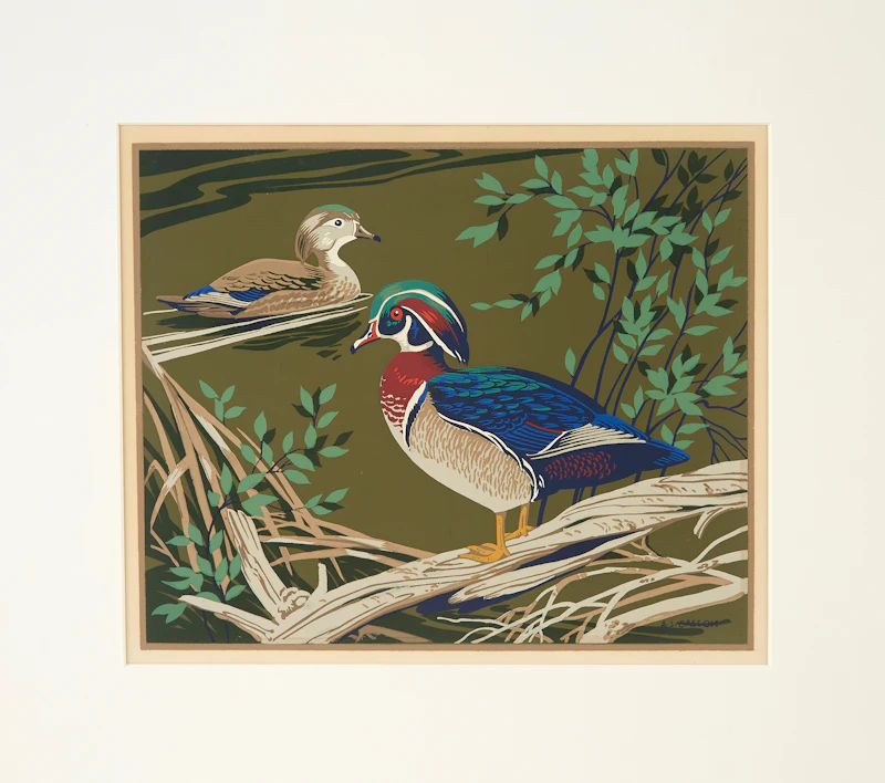 Alfred Joseph Casson, Wood Duck