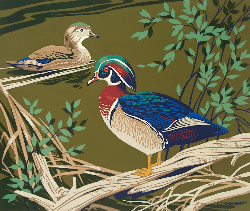 Alfred Joseph Casson, Wood Duck, colour silkscreen - view 2