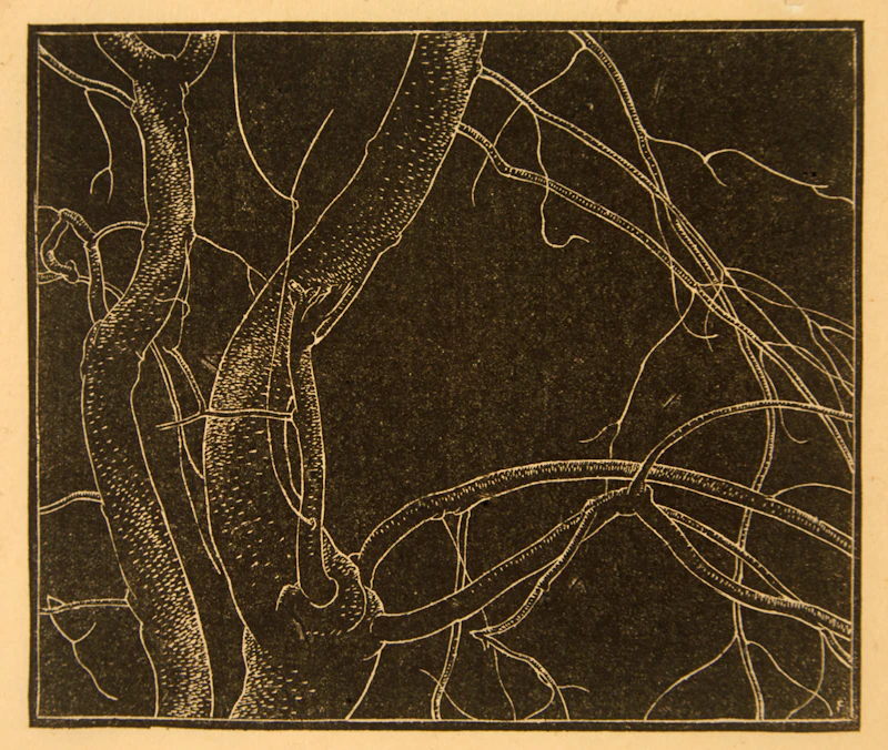 Branches by Lionel LeMoine FitzGerald