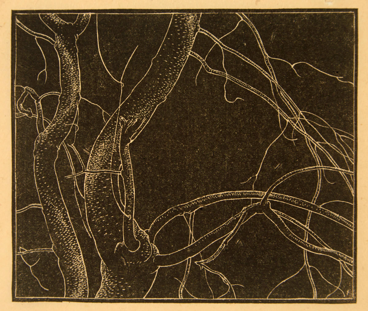 Lionel LeMoine FitzGerald, Branches, linocut, 1935